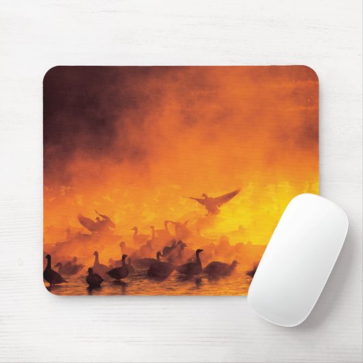 Bosque del Apache National Wildlife Refuge, NM Muismat (Met muis)