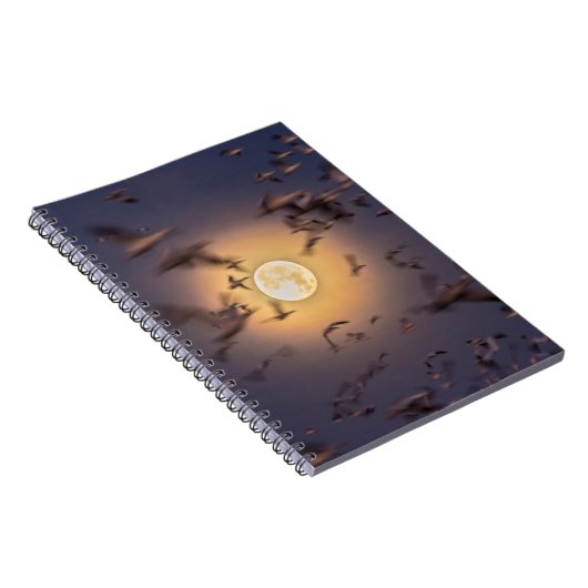 Bosque del Apache National Wildlife Refuge Notitieboek (Rechterzijde)