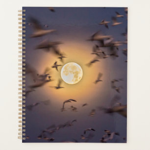Bosque del Apache National Wildlife Refuge Planner
