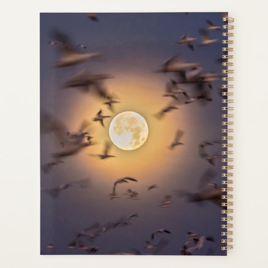 Bosque del Apache National Wildlife Refuge Planner (Achterkant)