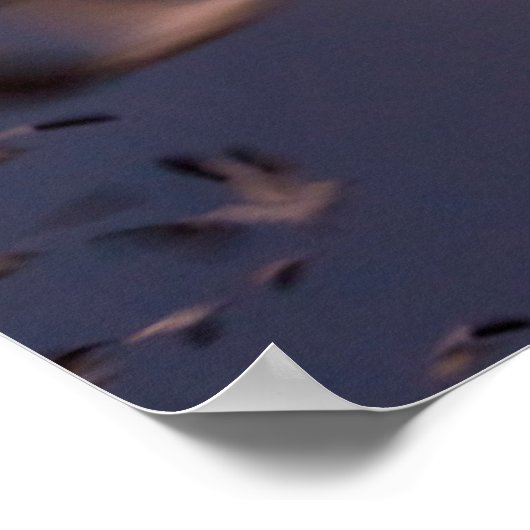 Bosque del Apache National Wildlife Refuge Poster (Hoek)