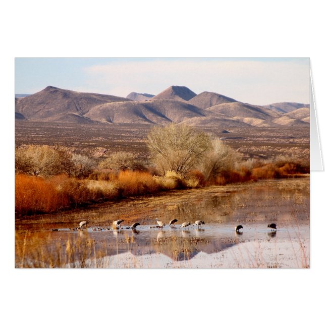 Bosque del Apache, New Mexico (Voorkant Horizontaal)