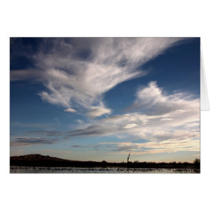 Bosque del Apache, New Mexico