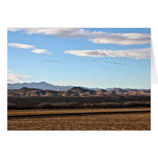 Bosque del Apache, New Mexico