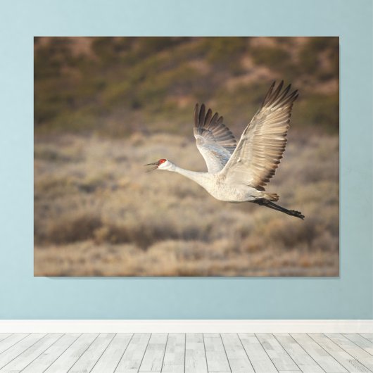 Bosque del Apache NWR Canvas Afdruk (Insitu (Houten vloer))