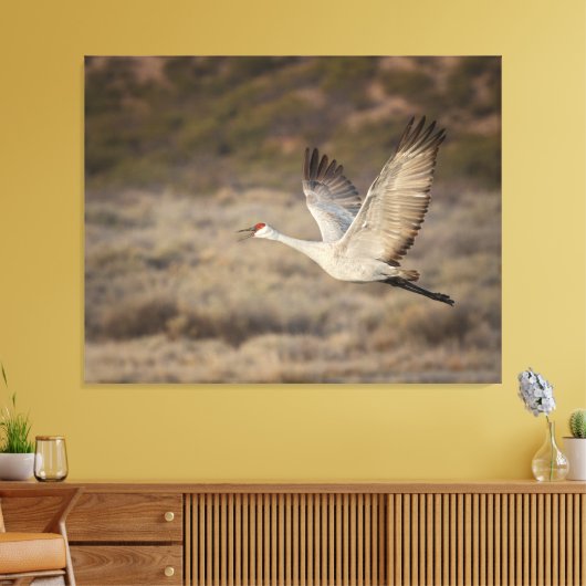 Bosque del Apache NWR Canvas Afdruk (Insitu (Woonkamer))