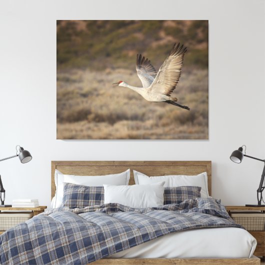 Bosque del Apache NWR Canvas Afdruk (Insitu (Slaapkamer))