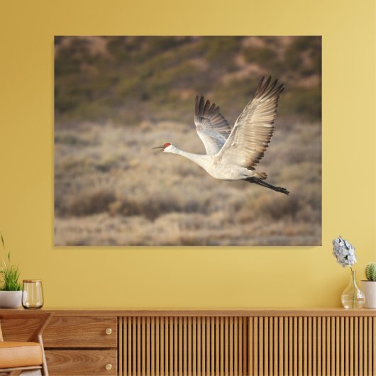 Bosque del Apache NWR Canvas Afdruk (Insitu (Woonkamer))