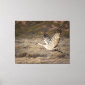 Bosque del Apache NWR Canvas Afdruk (Voorkant)