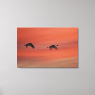 Bosque del Apache Wildlife Refuge New Mexico Canvas Afdruk