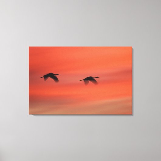 Bosque del Apache Wildlife Refuge | New Mexico Canvas Afdruk (Voorkant)