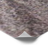 Bosque Troll. Theodor Kittelsen Poster (Hoek)