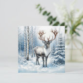 Bosrendier in winter bos dieren deken (Staand voorkant)