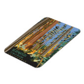 Bosreservaat voor hoofdwateren magneet (Linkerzijde)