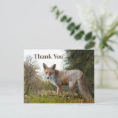 Bosrode Vos Bedankkaartje Briefkaart (Staand voorkant)