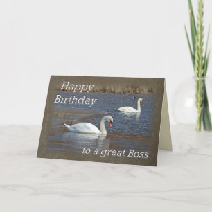 Boss Birthday - Demontas Swans on Winter Pond Kaart