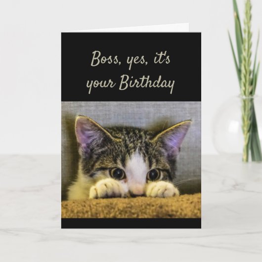 Boss Can't Hide It's Your Birthday Schattige Kitte Kaart (Voorkant)