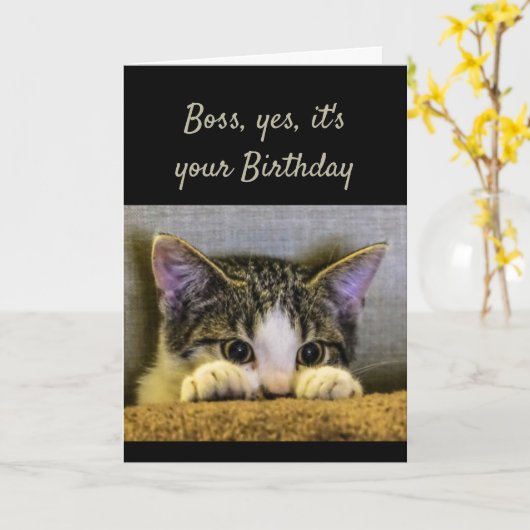 Boss Can't Hide It's Your Birthday Schattige Kitte Kaart (Gele Bloem)