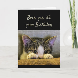 Boss Can't Hide It's Your Birthday Schattige Kitte Kaart