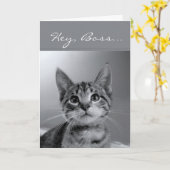 Boss, Have a PURR-fectly MEOW-velous Birthday! Kaart (Gele Bloem)