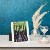 bosschaduwen fotoplaat (Insitu)