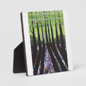 bosschaduwen fotoplaat (Voorkant)