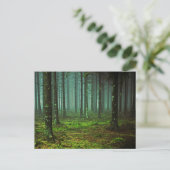 BOSSEN 1 BRIEFKAART (Staand voorkant)