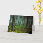 BOSSEN 1 KAART (Gele Bloem)