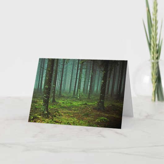 BOSSEN 1 KAART (Voorkant)