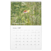 Bossen 2021 enkele pagina kalender (Jan 2027)