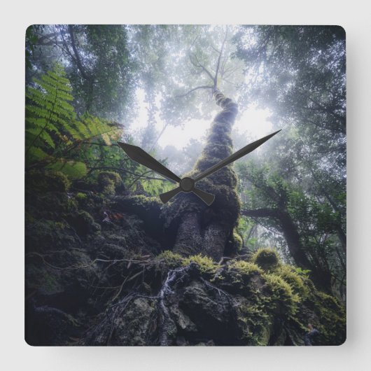 Bossen | Anaga Rural Park Canarische eilanden Vierkante Klok (Voorkant)