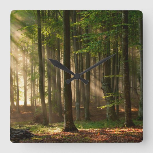 Bossen | Autumn Forest Vierkante Klok (Voorkant)