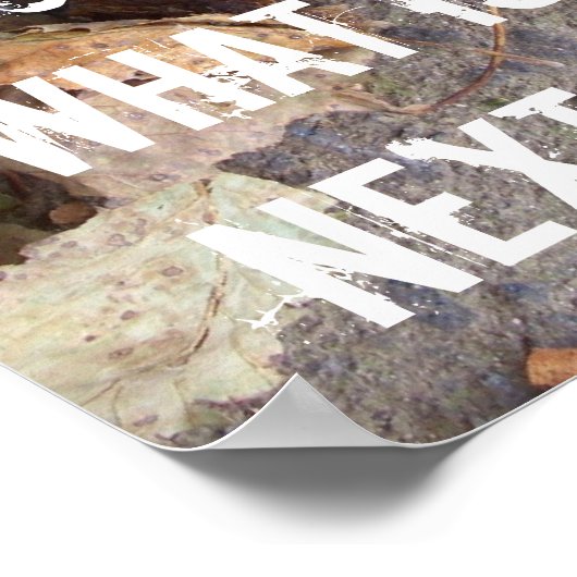 Bossen behoud Aarde klimaatverandering Poster (Hoek)