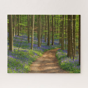 Bossen   Bluebell Forest in België Legpuzzel