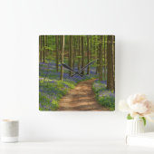 Bossen | Bluebell Forest in België Vierkante Klok (Huis)