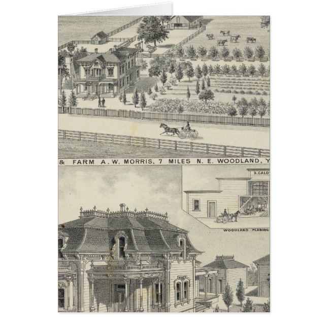 Bossen, boerderijen (Voorkant)