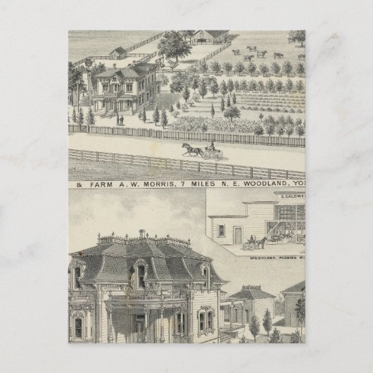 Bossen, boerderijen briefkaart (Voorkant)