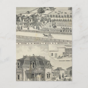 Bossen, boerderijen briefkaart