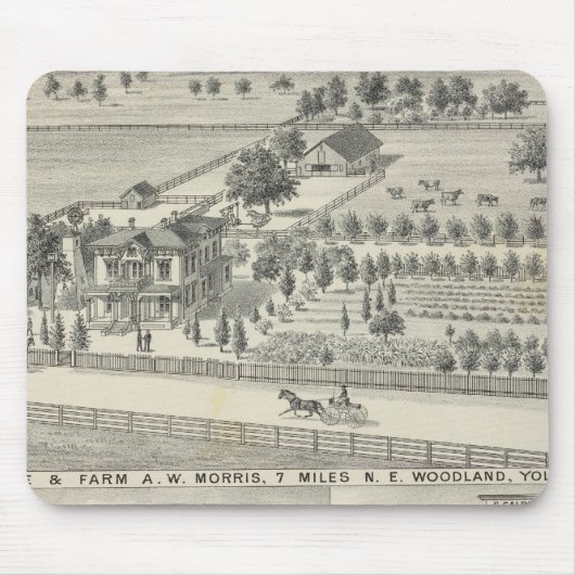 Bossen, boerderijen muismat (Voorkant)