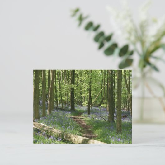 Bossen Briefkaart (Staand voorkant)