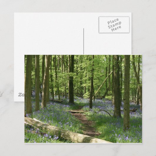 Bossen Briefkaart (Voorkant / Achterkant)