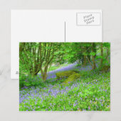 Bossen Briefkaart (Voorkant / Achterkant)
