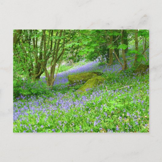 Bossen Briefkaart (Voorkant)