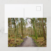 Bossen  briefkaart (Voorkant / Achterkant)