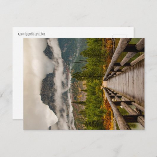 Bossen Briefkaart (Voorkant / Achterkant)