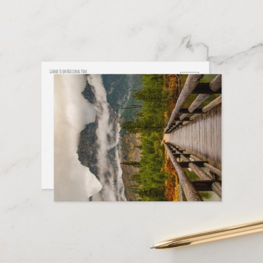 Bossen Briefkaart (Voorkant / Achterkant in situ)