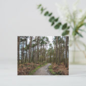 Bossen Briefkaart (Staand voorkant)