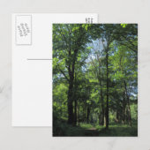 Bossen. Bute Park, Cardiff Briefkaart (Voorkant / Achterkant)