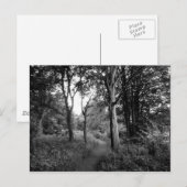 Bossen Bute Park, Cardiff Briefkaart (Voorkant / Achterkant)