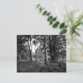 Bossen Bute Park, Cardiff Briefkaart (Staand voorkant)